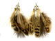 Earring Gallery: Image