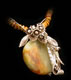 Necklace Gallery: Image