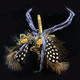 Necklace Gallery: Image