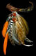 Necklace Gallery: Image