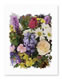 Card Gallery: Image