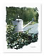 Card Gallery: Image