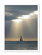 Card Gallery: Image