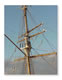 Card Gallery: Image