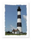 Card Gallery: Image