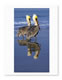 Card Gallery: Image