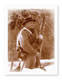 Card Gallery: Image